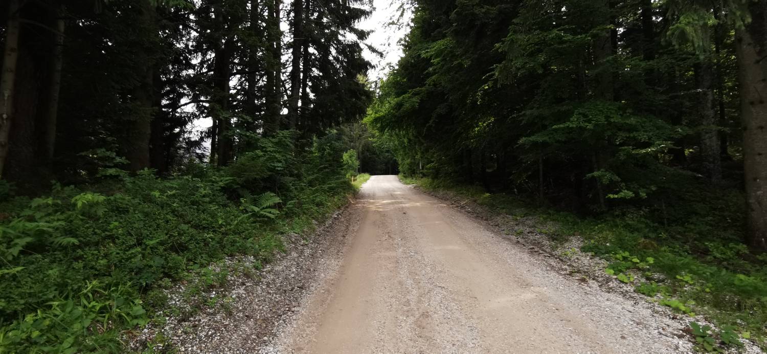 Koča na Pesniku - Ribniška koča slika 4