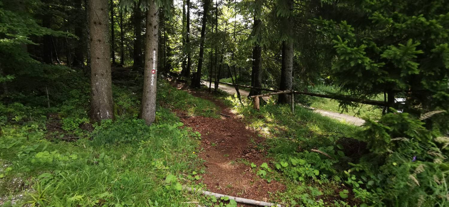 Koča na Pesniku - Ribniška koča slika 5