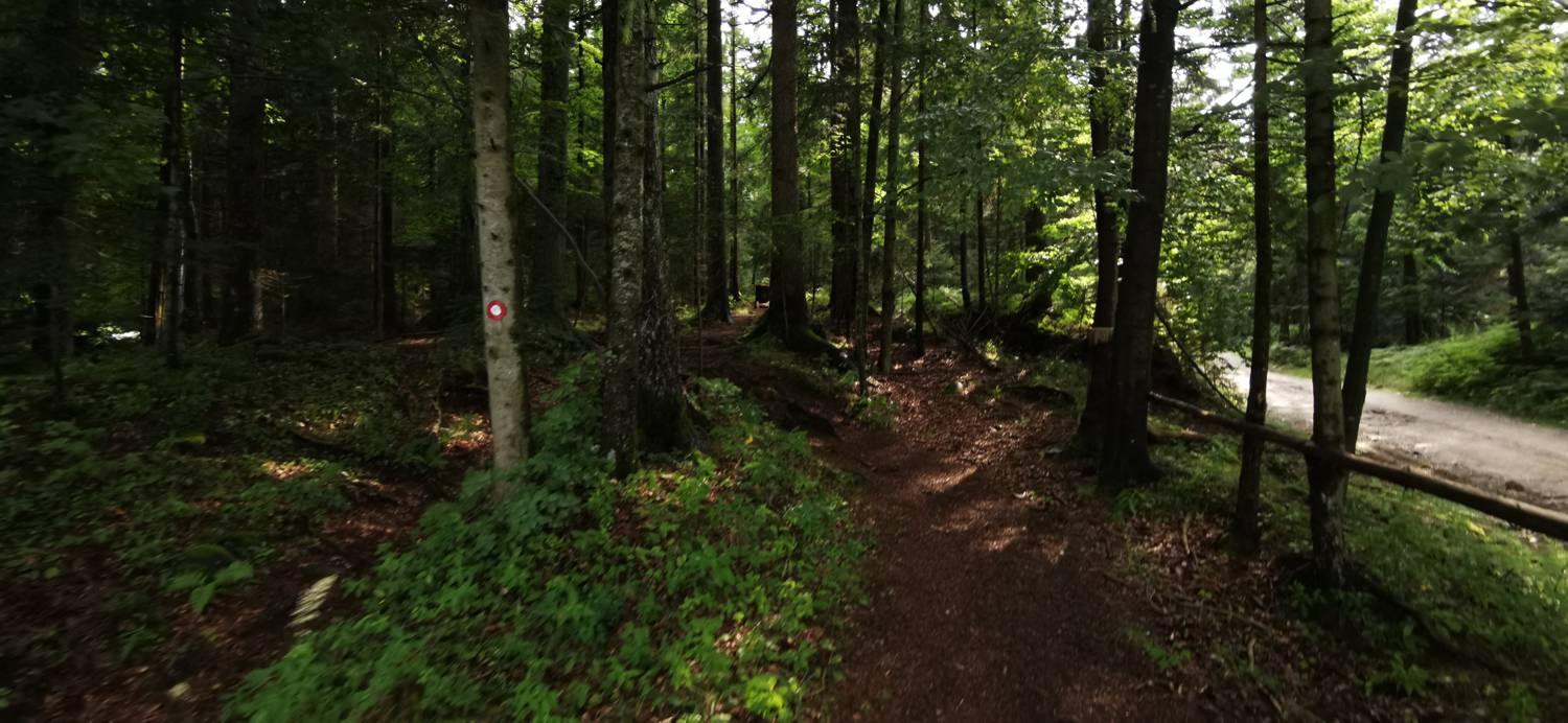 Koča na Pesniku - Ribniška koča slika 6