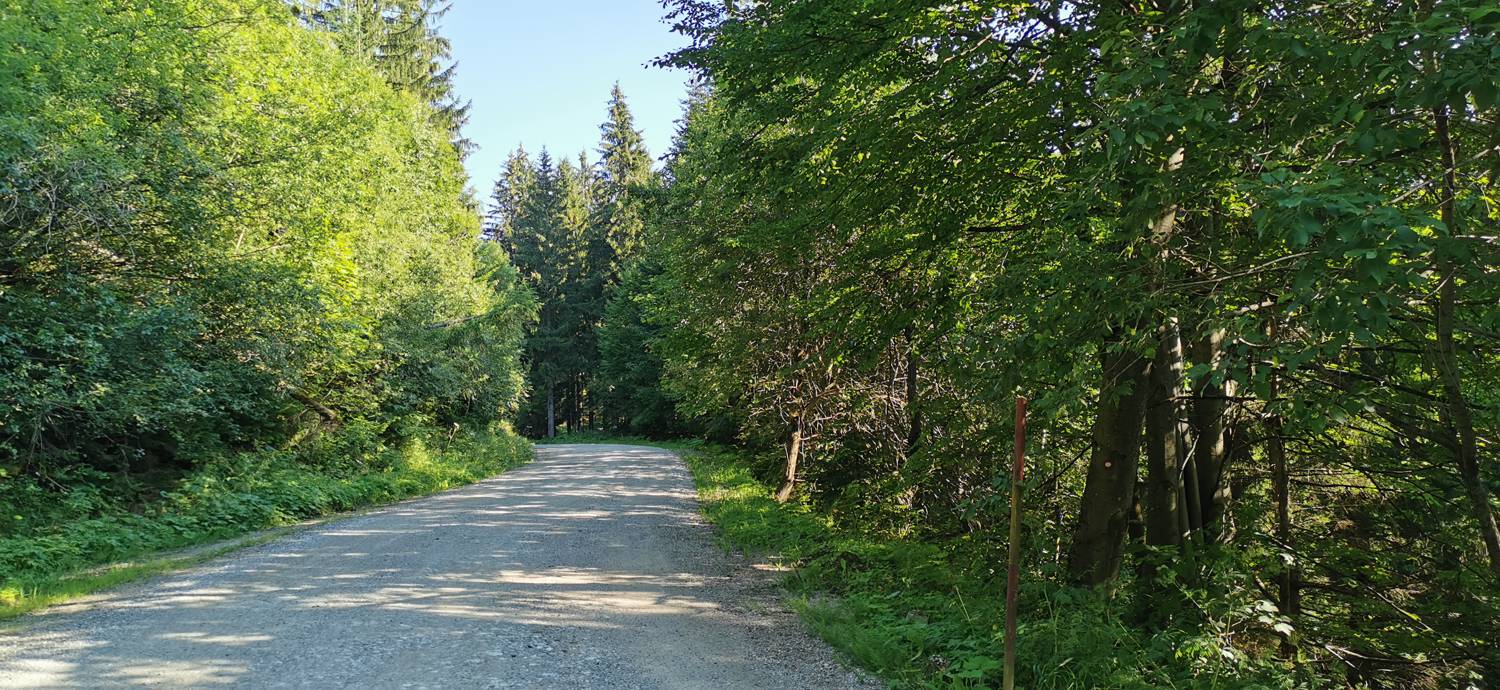 Andrejev dom na Slemenu - Uršlja gora slika 14
