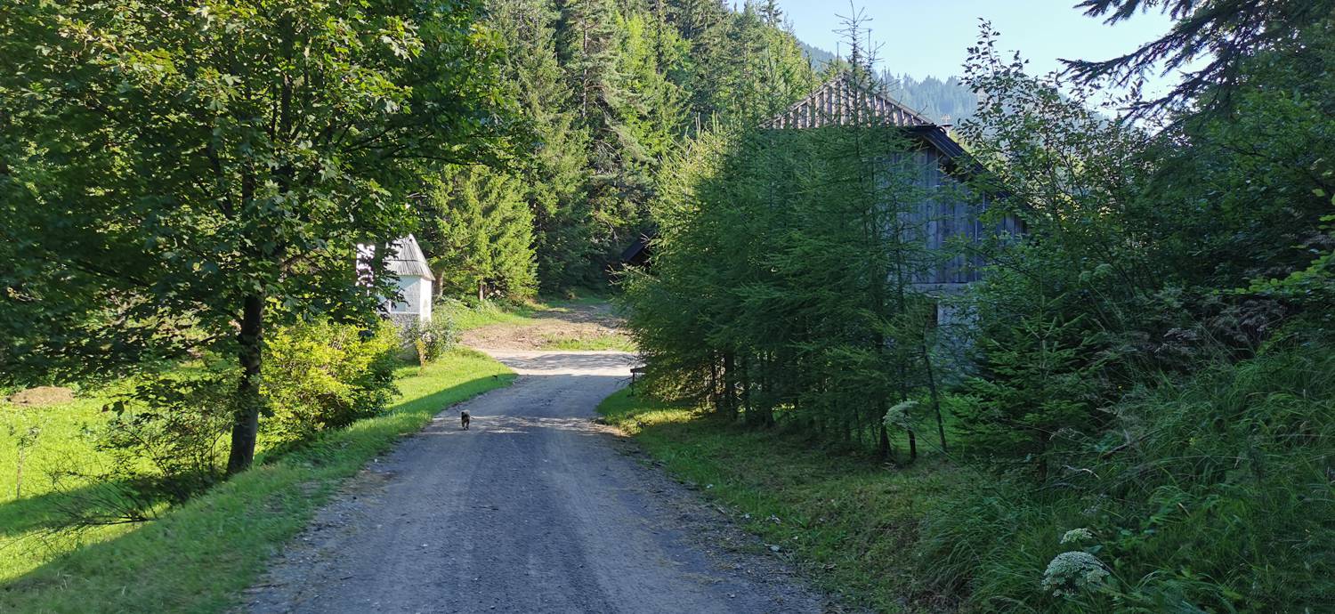 Andrejev dom na Slemenu - Uršlja gora slika 23
