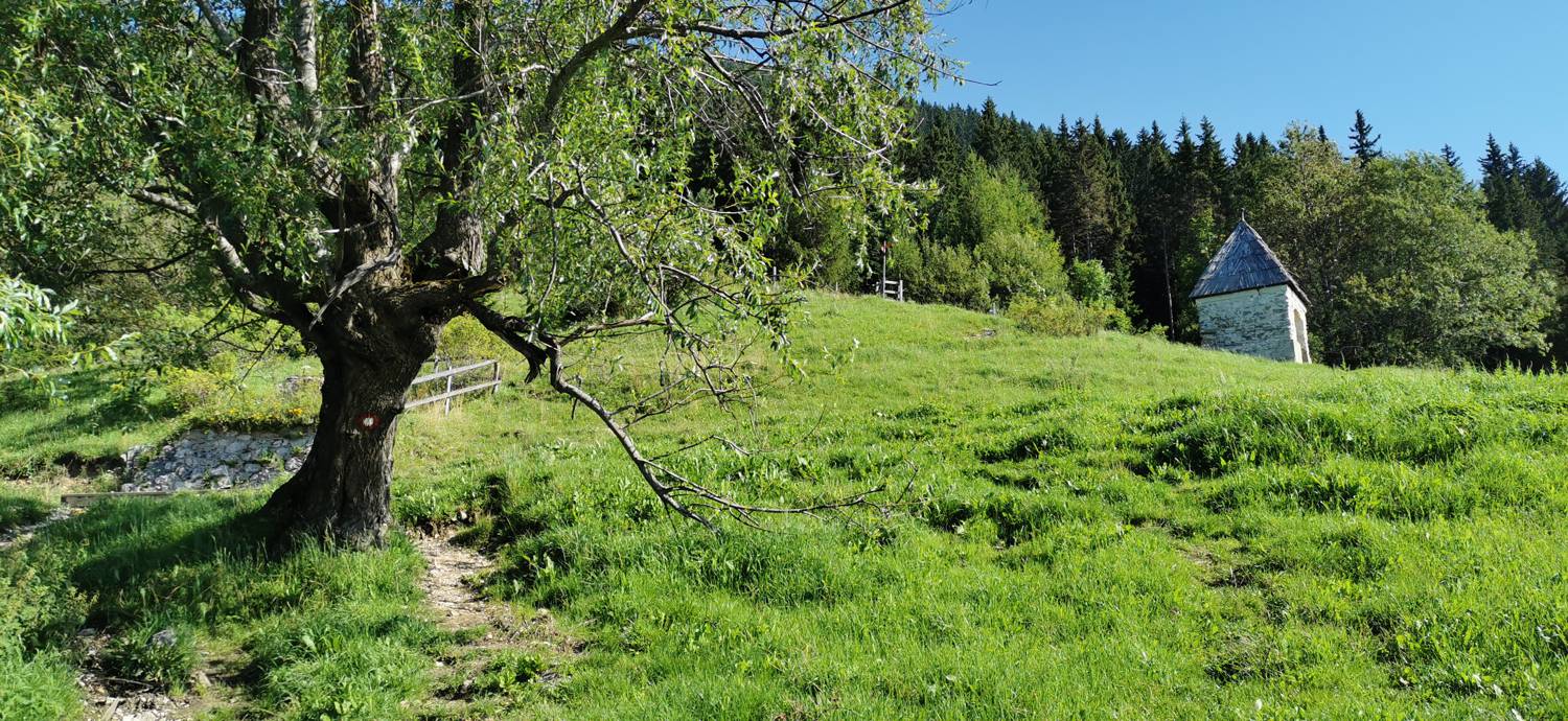Andrejev dom na Slemenu - Uršlja gora slika 33