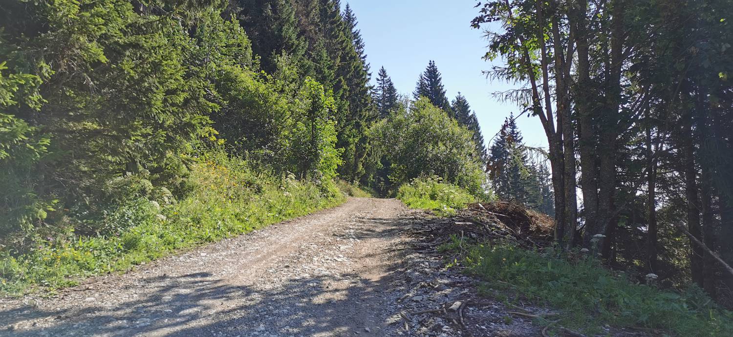 Andrejev dom na Slemenu - Uršlja gora slika 37