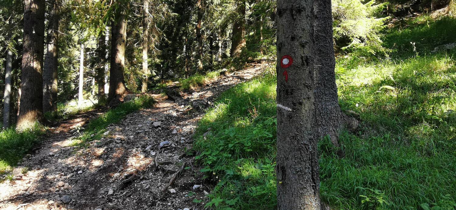 Andrejev dom na Slemenu - Uršlja gora slika 39
