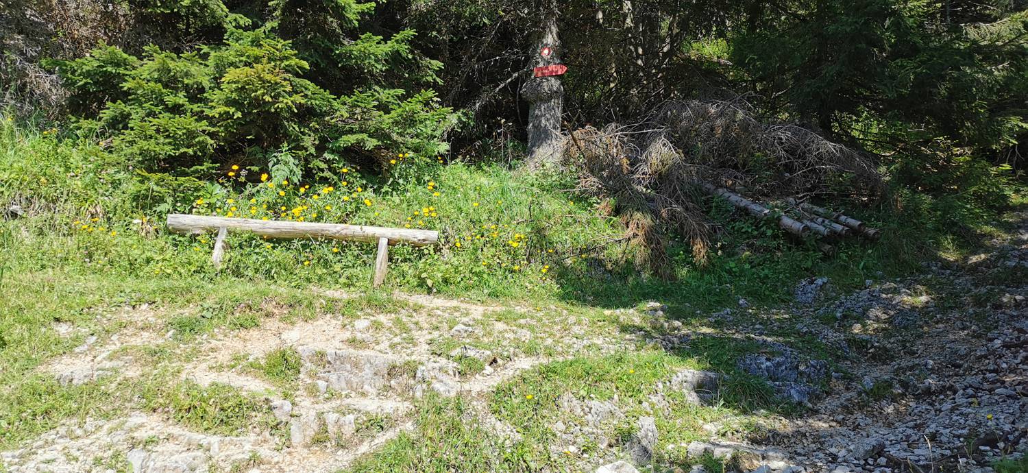 Andrejev dom na Slemenu - Uršlja gora slika 46