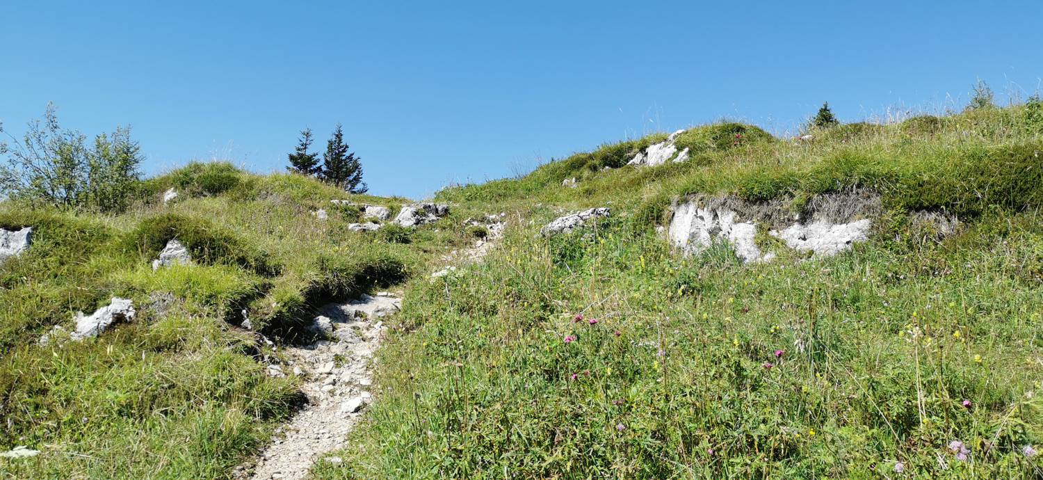 Andrejev dom na Slemenu - Uršlja gora slika 56