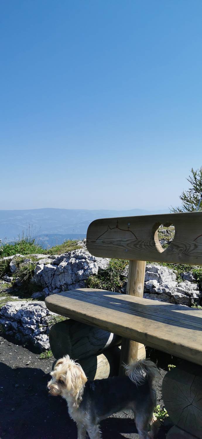 Andrejev dom na Slemenu - Uršlja gora slika 65