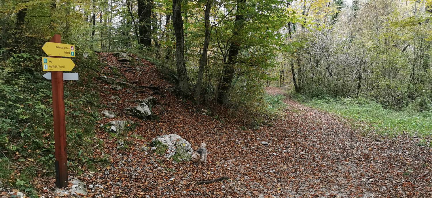 Kobarid (center) - Tonocov grad slika 18