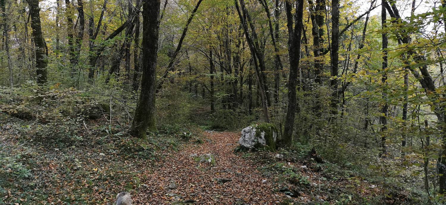 Kobarid (center) - Tonocov grad slika 20