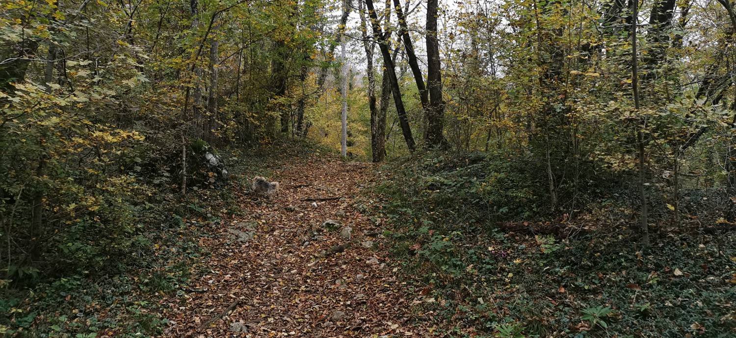 Kobarid (center) - Tonocov grad slika 22