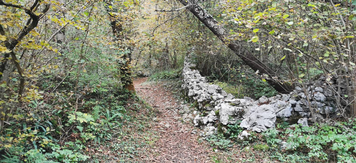 Italijanska kostnica - Tonocov grad slika 14
