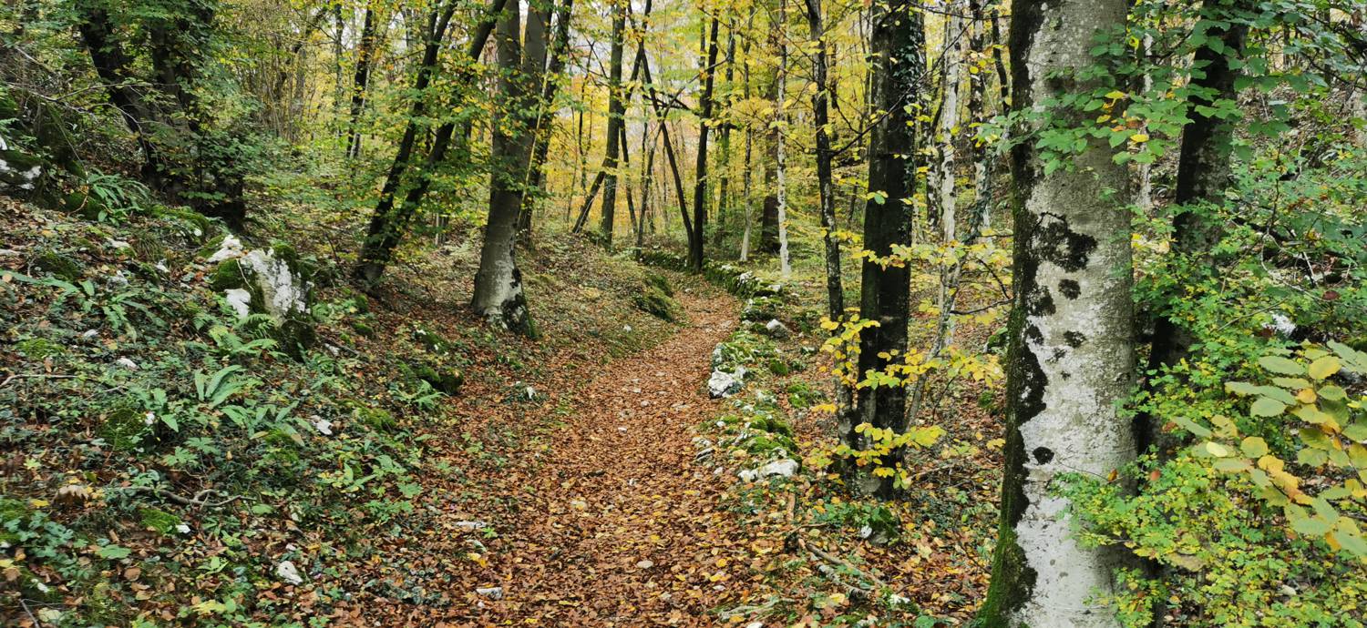 Kobarid (center) - Tonocov grad slika 31