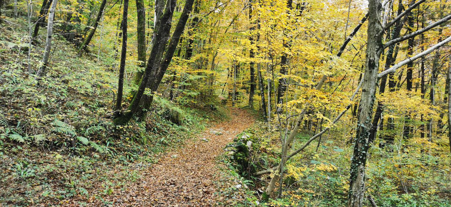 Kobarid (center) - Tonocov grad slika 32