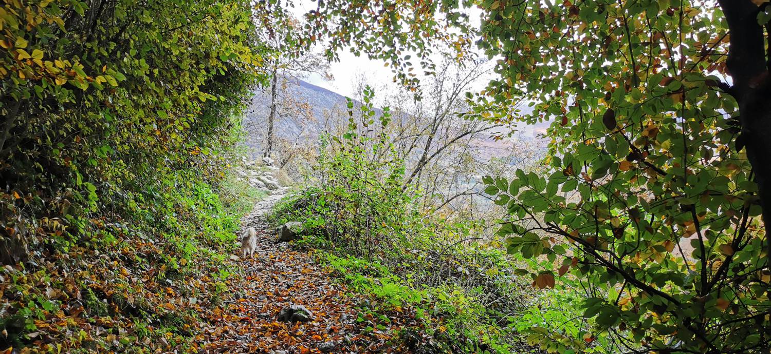 Kobarid (center) - Tonocov grad slika 34