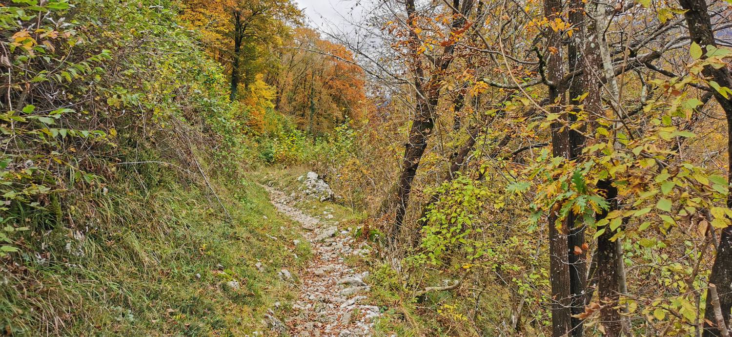 Kobarid (center) - Tonocov grad slika 35