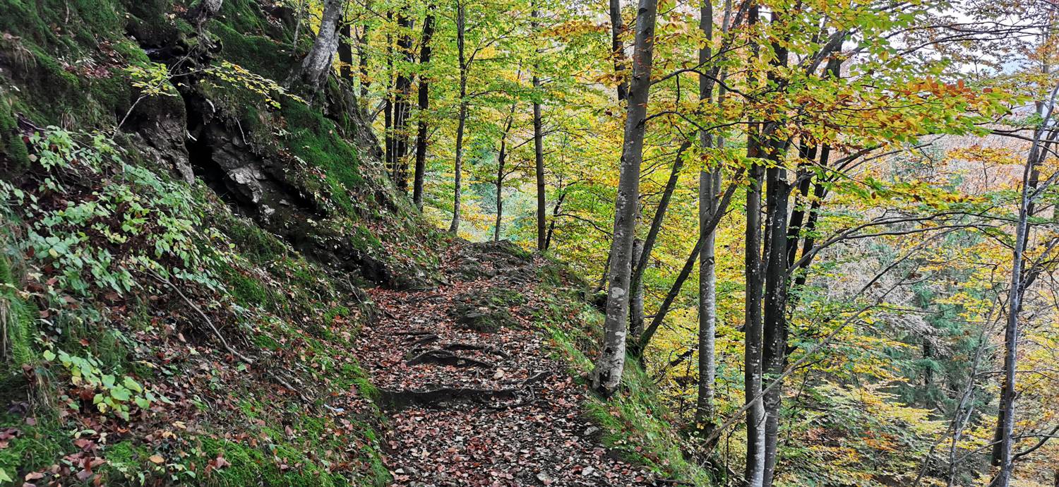 Kobarid (center) - Tonocov grad slika 38