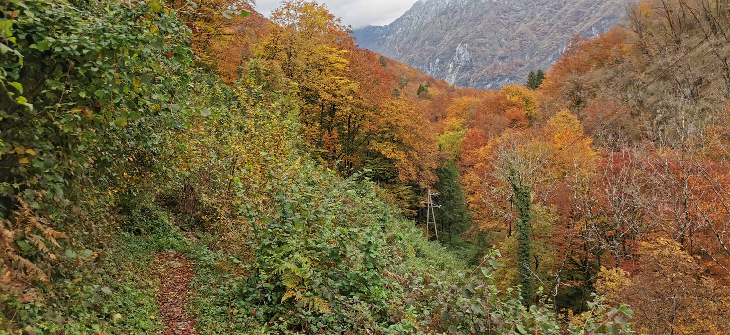 Kobarid (center) - Tonocov grad slika 39