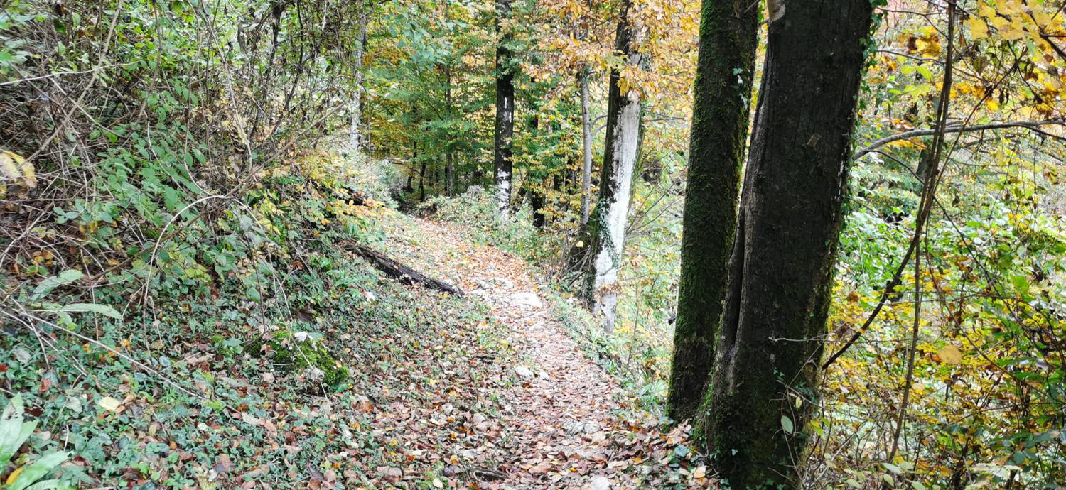 Italijanska kostnica - Tonocov grad slika 30
