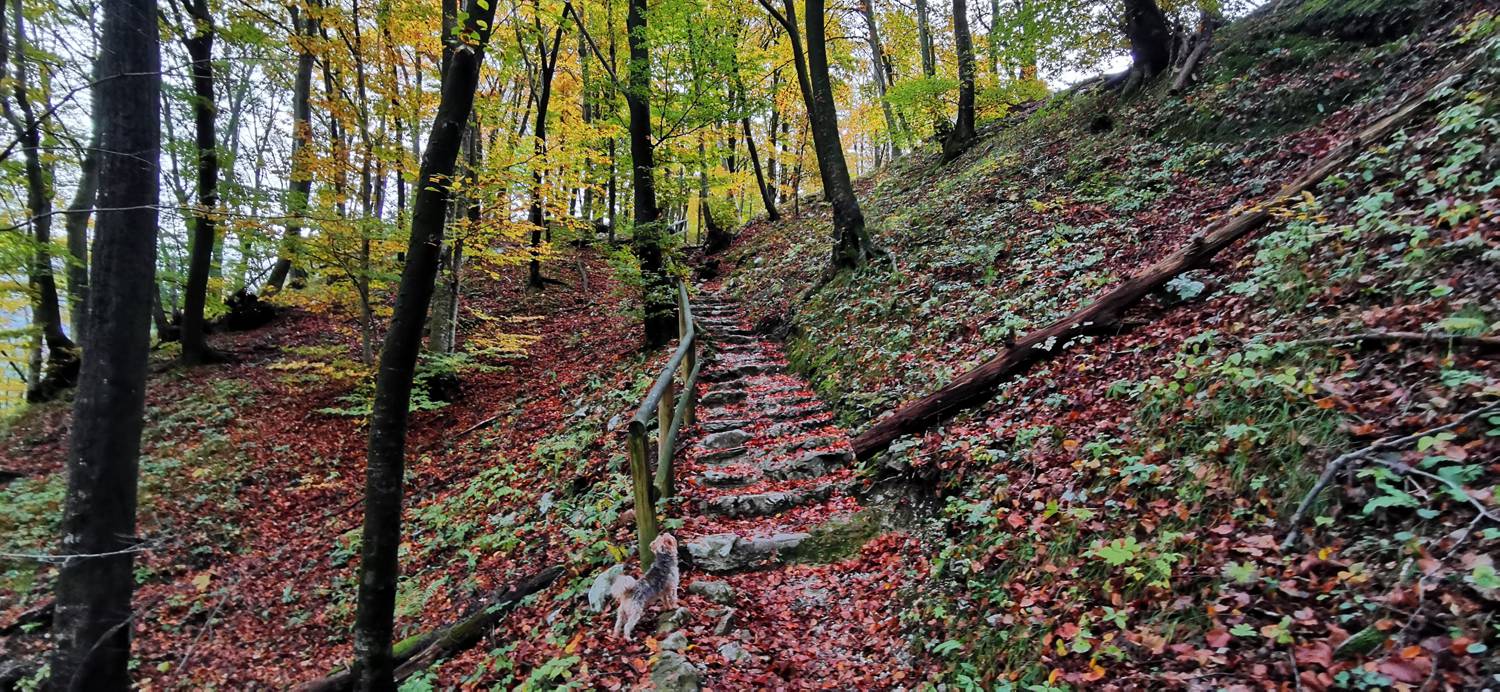 Kobarid (center) - Tonocov grad slika 46