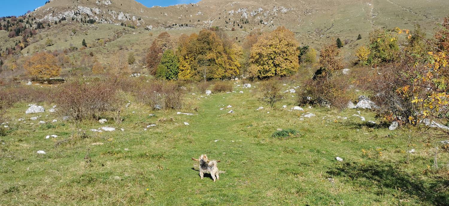 Planina Kuhinja - Vojaška kapela Bes na Planici pod Krnom slika 12