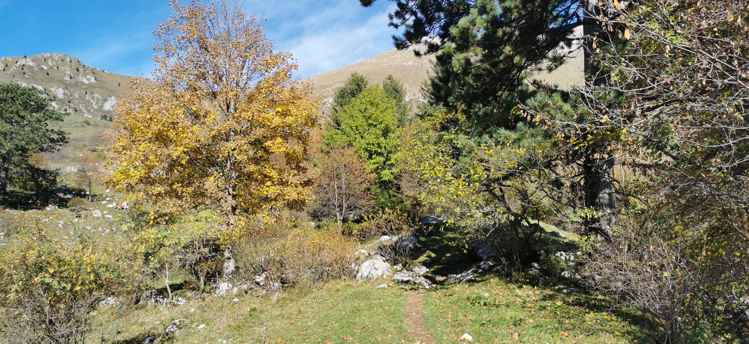 Planina Kuhinja - Vojaška kapela Bes na Planici pod Krnom slika 16