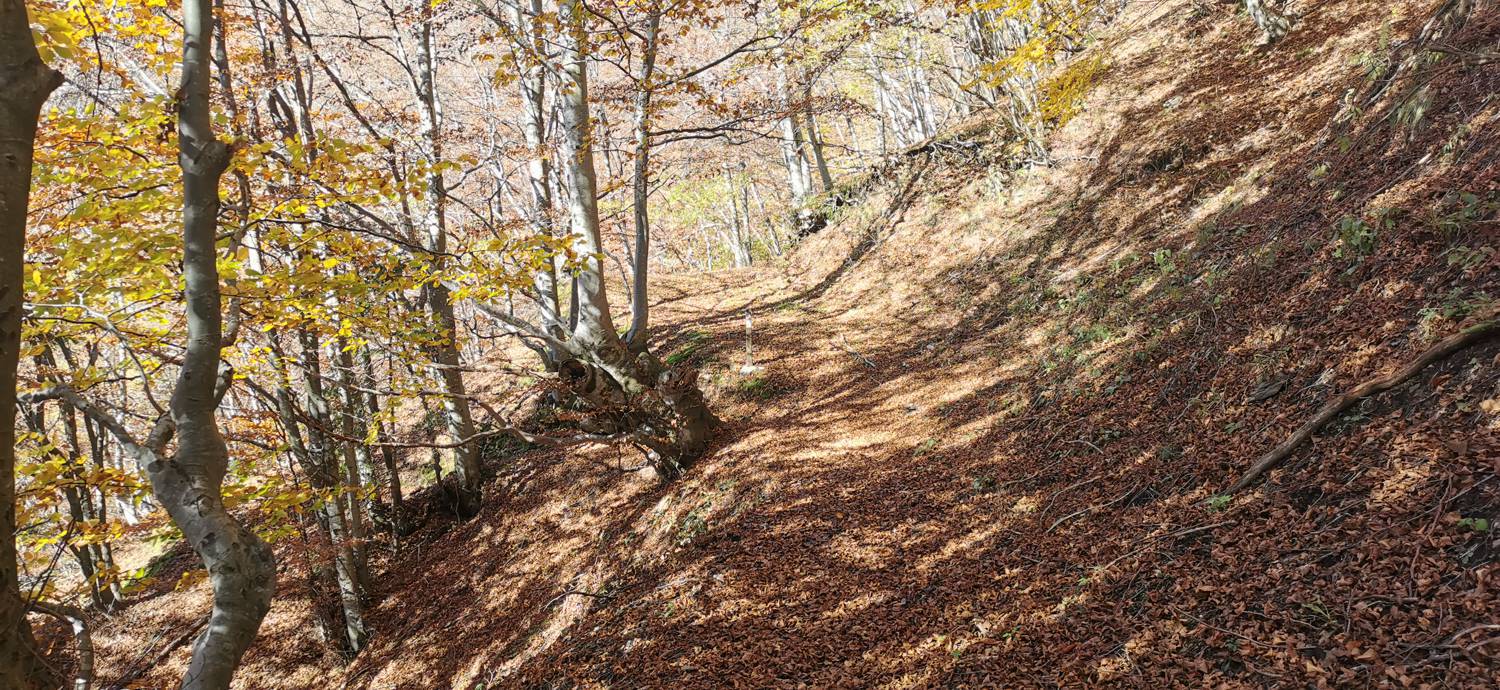 Planina Kuhinja - Planica pod Krnom slika 30