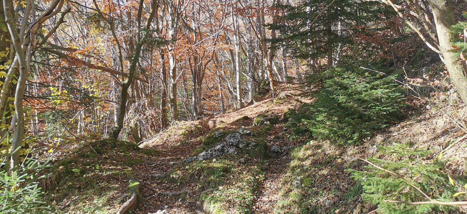 Planina Kuhinja - Planica pod Krnom slika 35