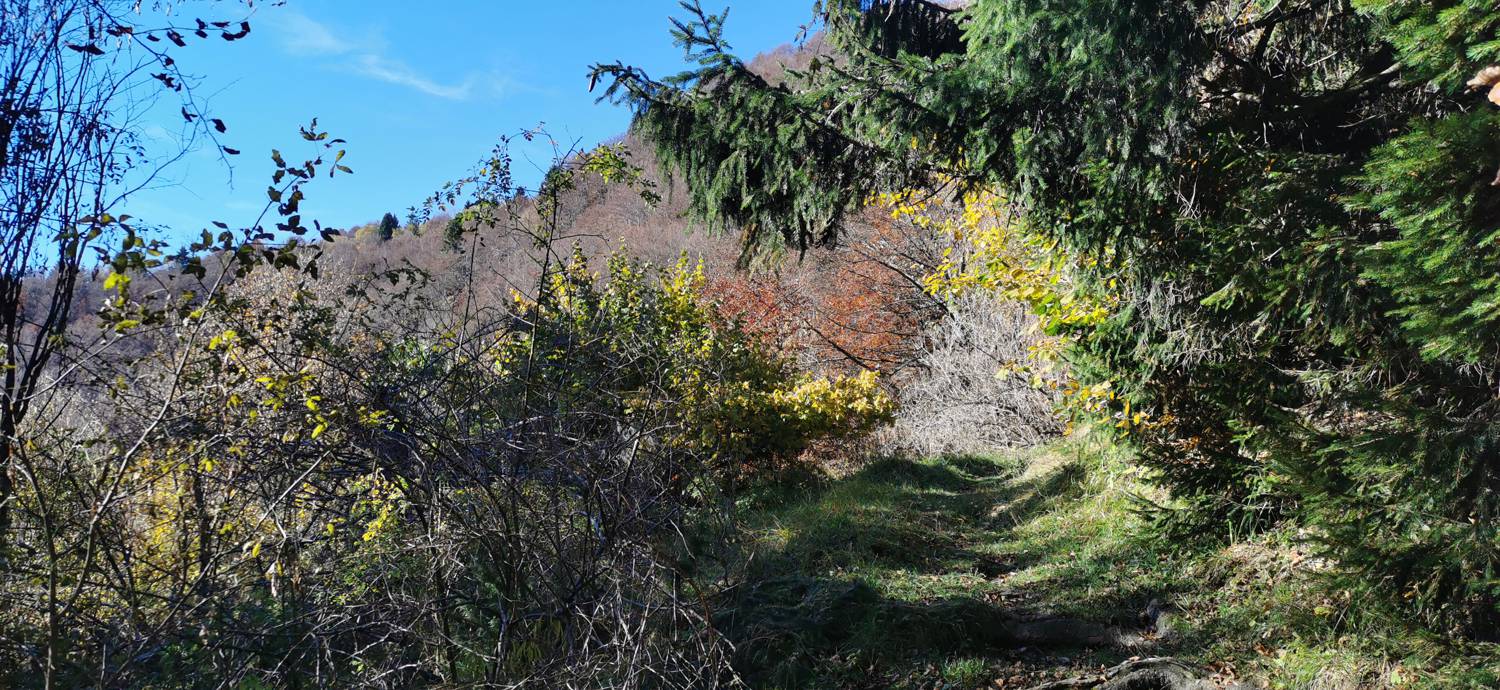 Planina Kuhinja - Vojaška kapela Bes na Planici pod Krnom slika 36