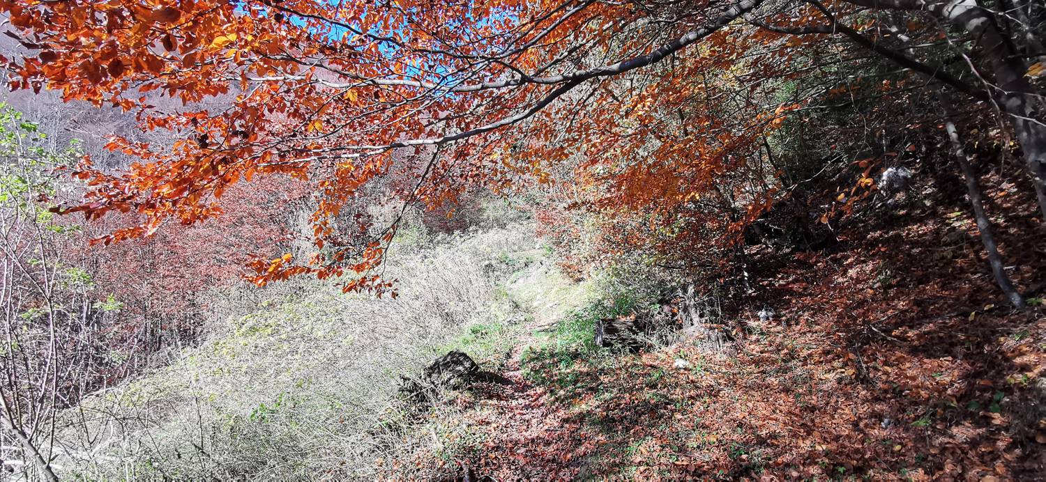 Planina Kuhinja - Vojaška kapela Bes na Planici pod Krnom slika 37
