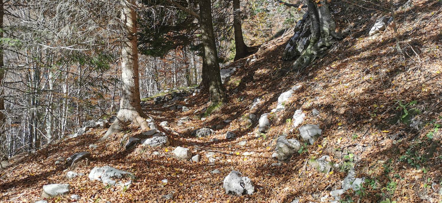 Planina Kuhinja - Vojaška kapela Bes na Planici pod Krnom slika 38
