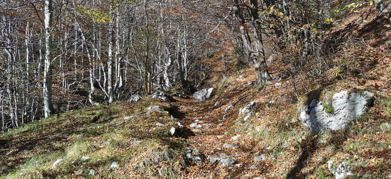 Planina Kuhinja - Vojaška kapela Bes na Planici pod Krnom slika 39