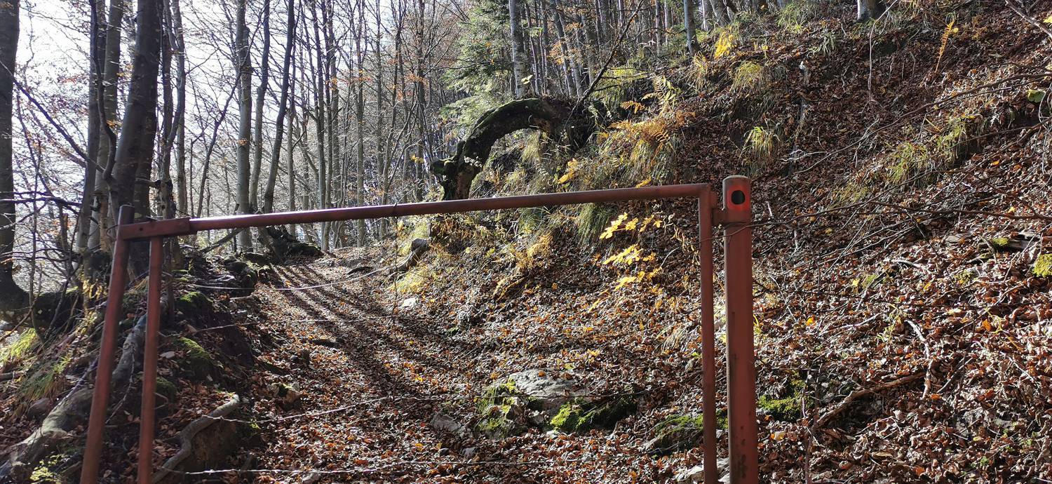 Planina Kuhinja - Planica pod Krnom slika 42