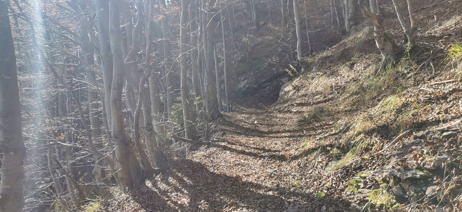 Planina Kuhinja - Vojaška kapela Bes na Planici pod Krnom slika 43