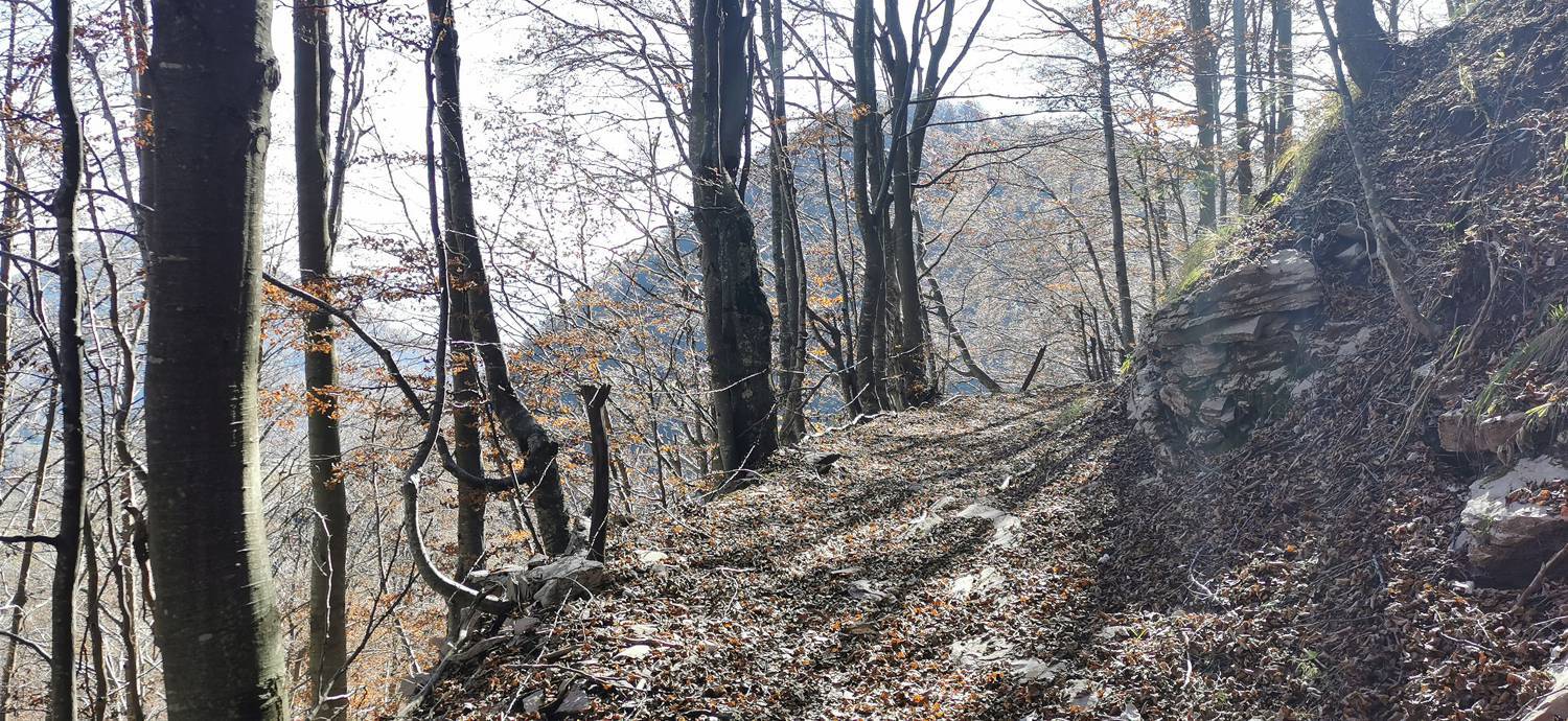Planina Kuhinja - Planica pod Krnom slika 44
