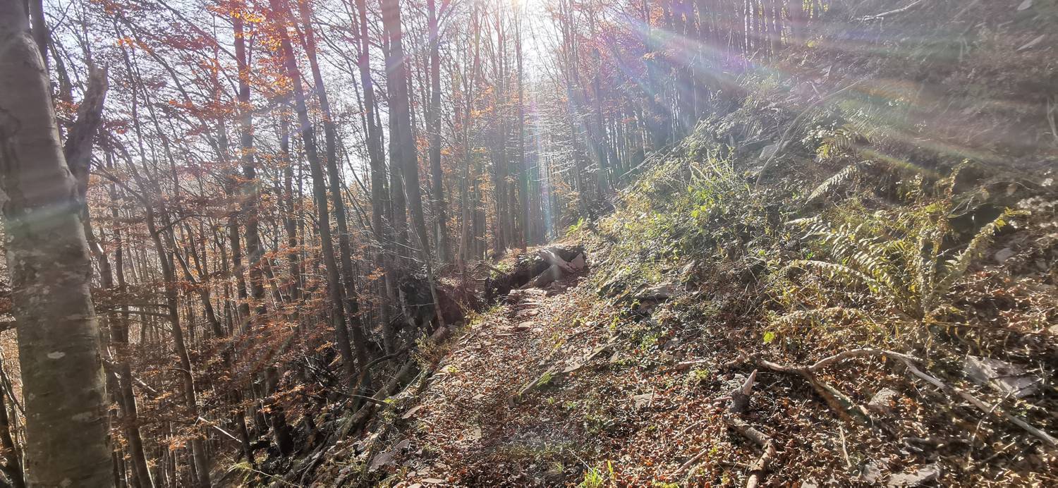 Planina Kuhinja - Planica pod Krnom slika 48