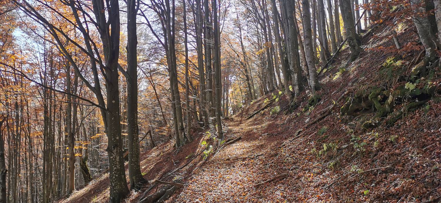 Planina Kuhinja - Vojaška kapela Bes na Planici pod Krnom slika 49