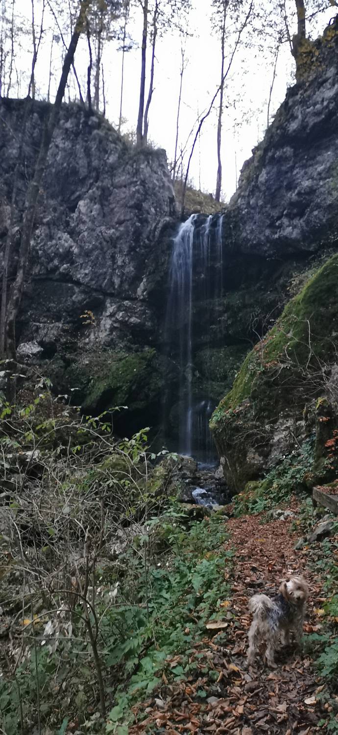 Kobarid (center) - Slap Svino slika 27
