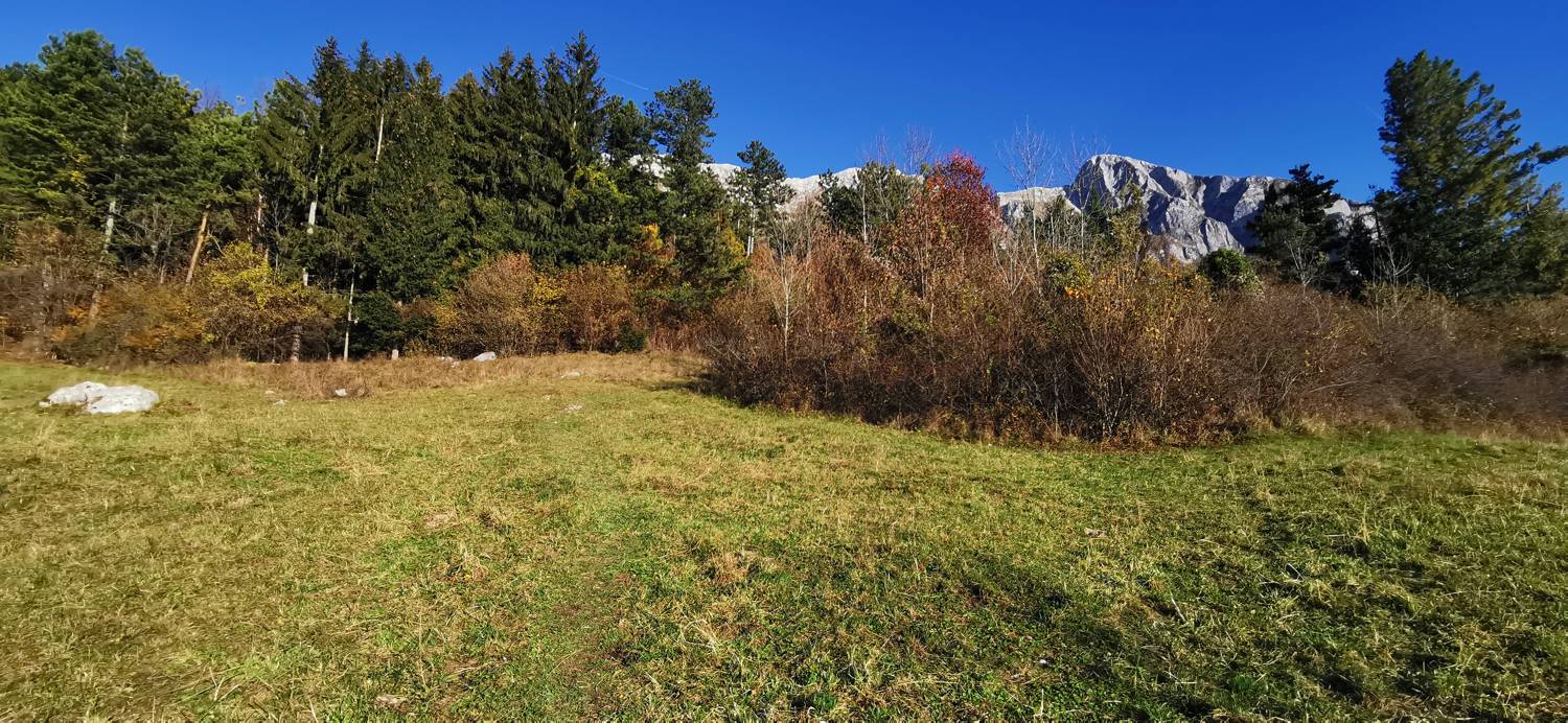 Drežniške Ravne - Lopatnik slika 5
