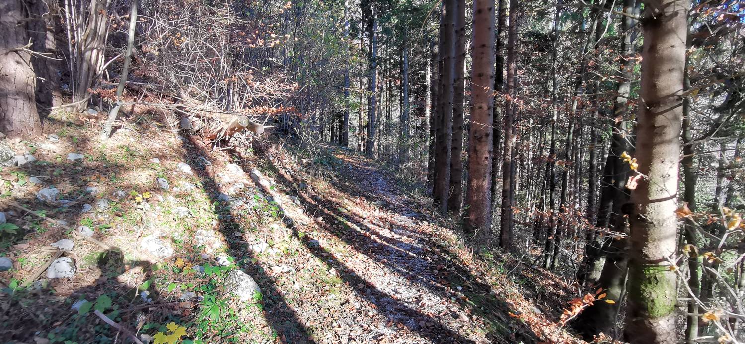 Drežniške Ravne - Lopatnik slika 8