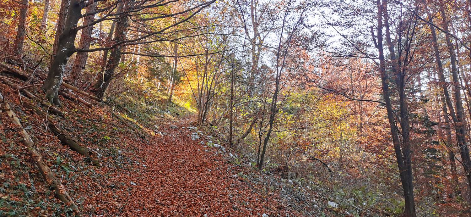 Drežniške Ravne - Lopatnik slika 14