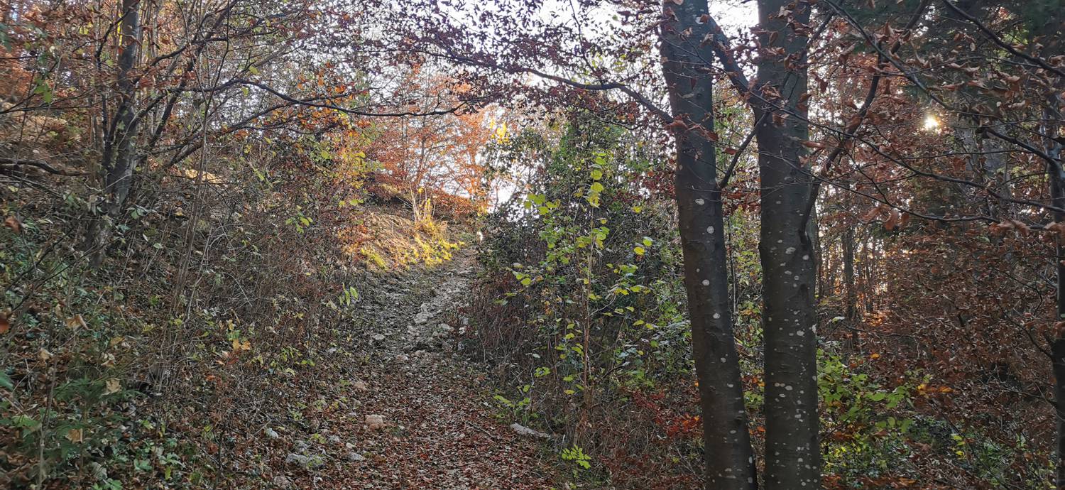Drežniške Ravne - Lopatnik slika 15