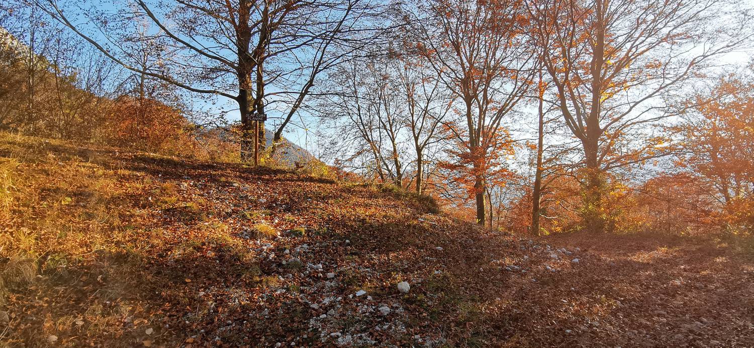 Drežniške Ravne - Lopatnik slika 16