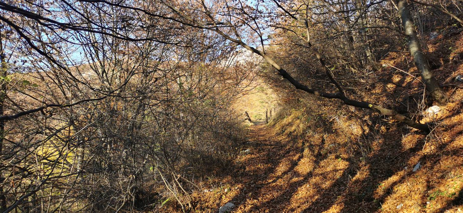 Drežniške Ravne - Lopatnik slika 24