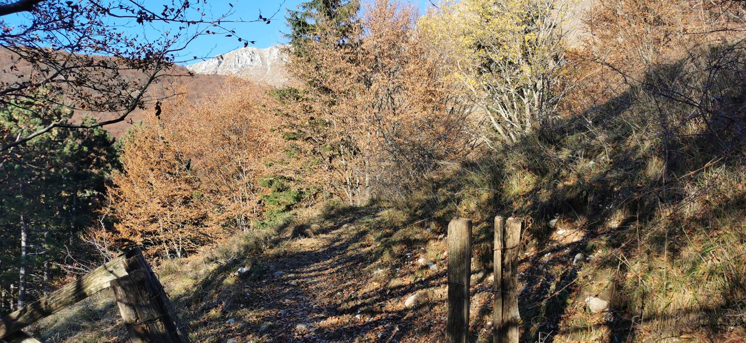 Drežniške Ravne - Lopatnik slika 25