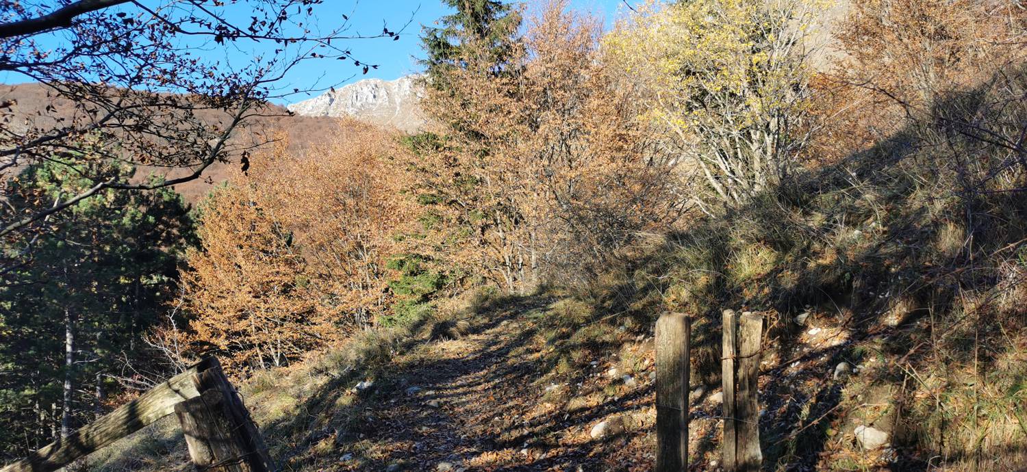 Drežniške Ravne - Lopatnik slika 26