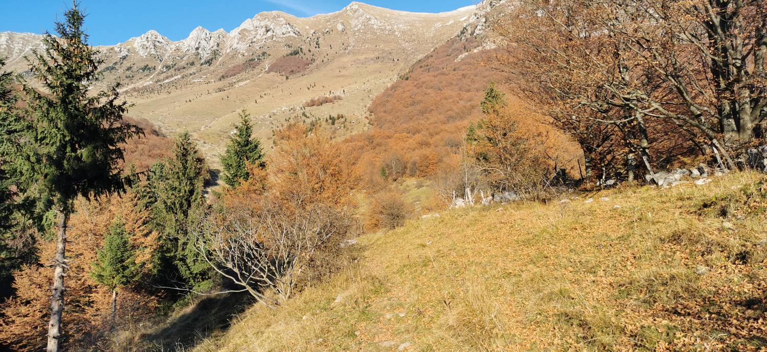 Drežniške Ravne - Lopatnik slika 27