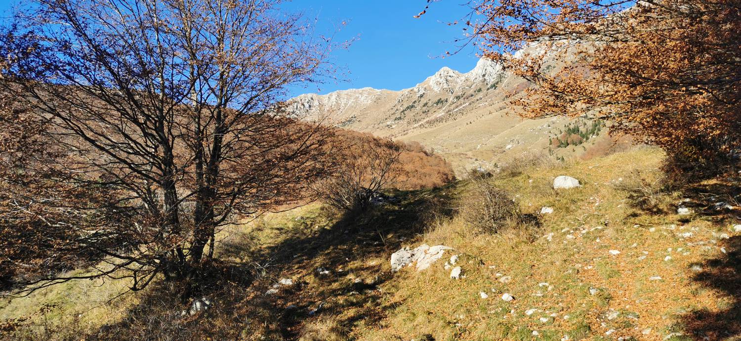 Drežniške Ravne - Lopatnik slika 29