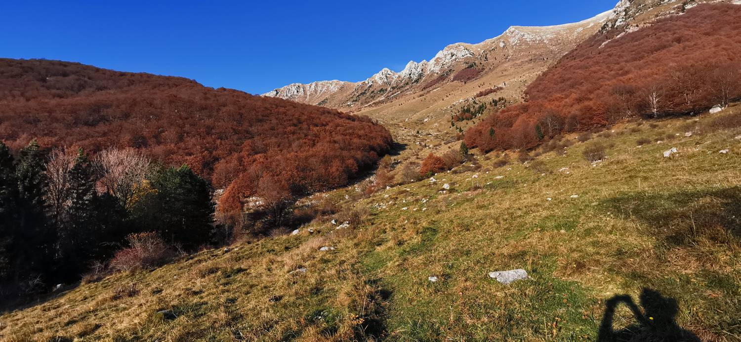 Drežniške Ravne - Lopatnik slika 30
