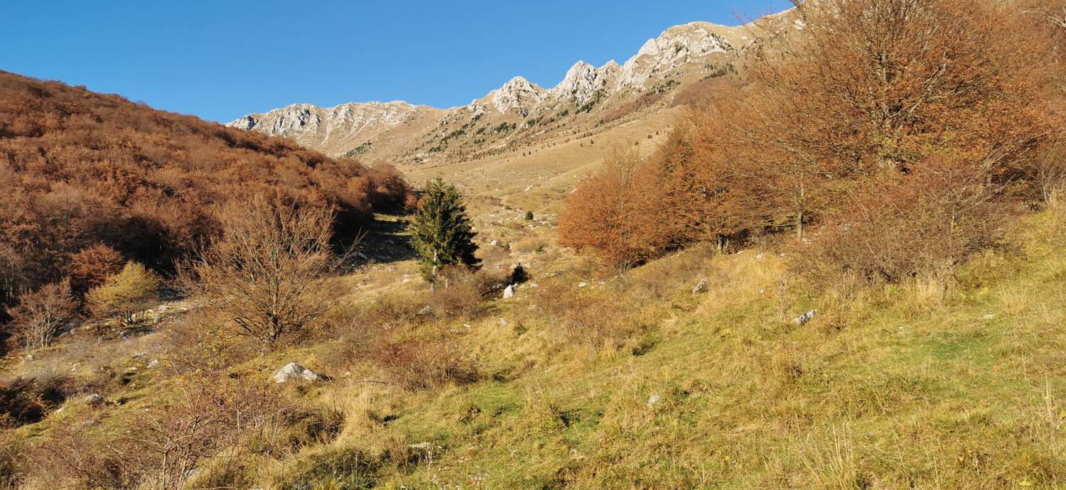 Drežniške Ravne - Lopatnik slika 32
