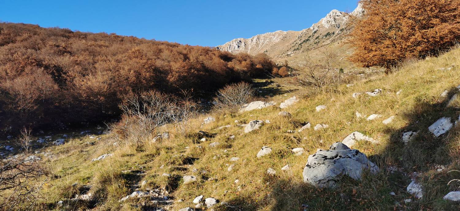 Drežniške Ravne - Lopatnik slika 33